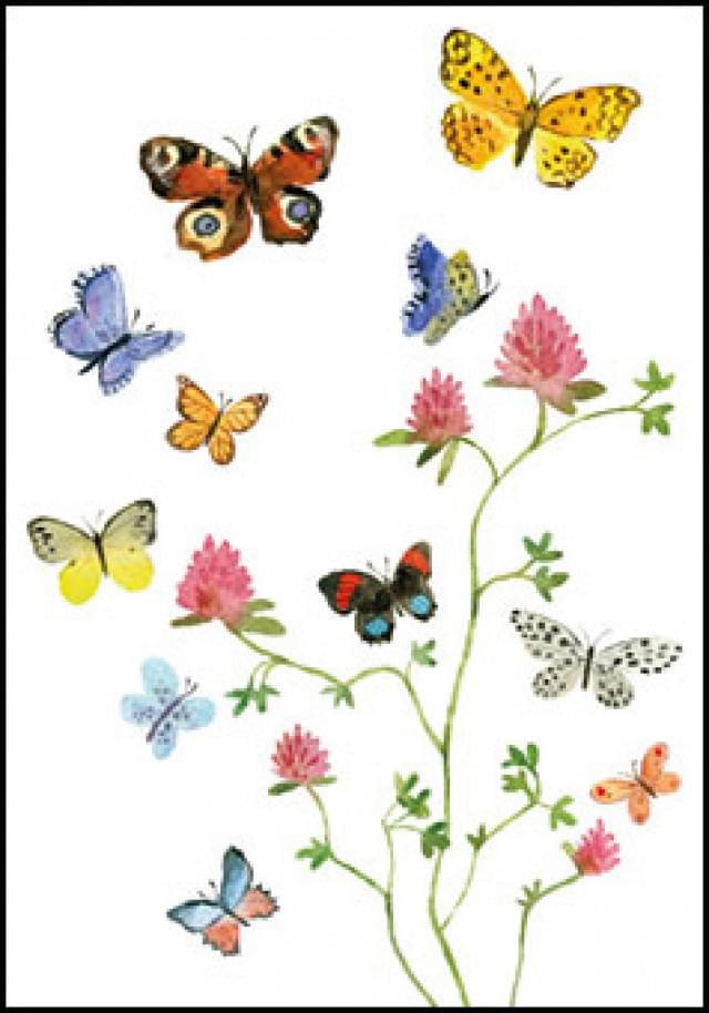Flowers, Butterflies and Birds, Alice Appleton