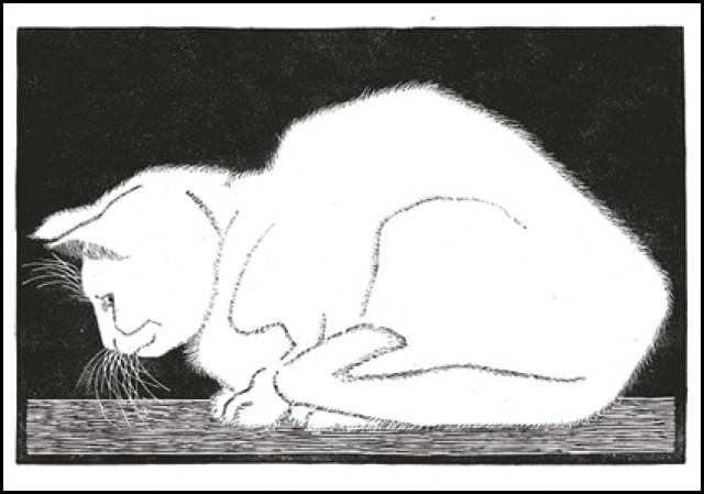 White cat, M.C. Escher