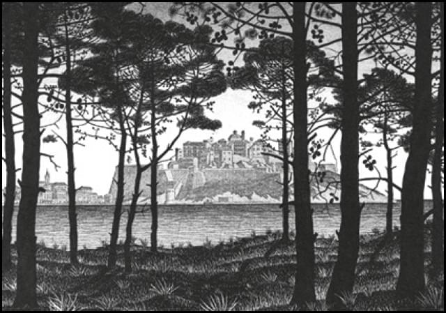 Pineta of Calvi, Corsica, M.C. Escher